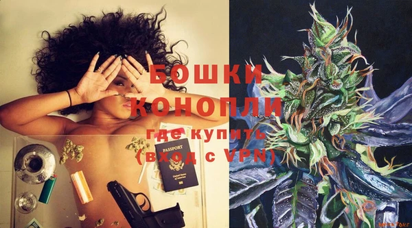 PSILOCYBIN Надым