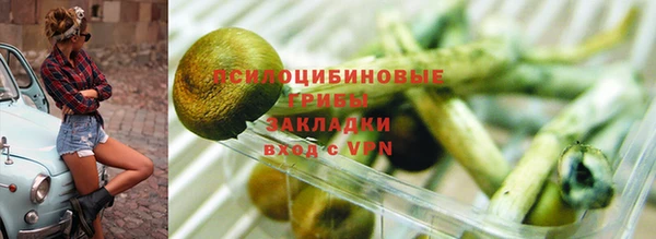 PSILOCYBIN Надым