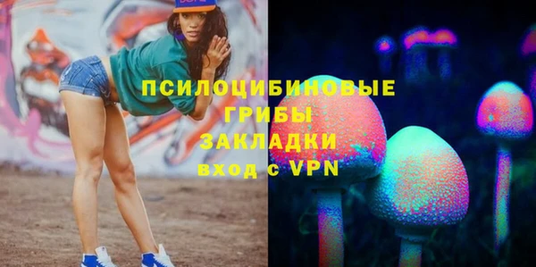 spice Апатиты