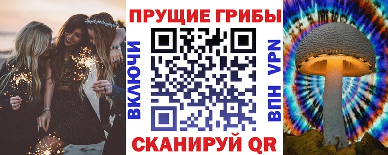 Галлюциногенные грибы Psilocybine cubensis  mega онион  Медынь 