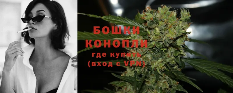 Бошки Шишки THC 21%  Медынь 